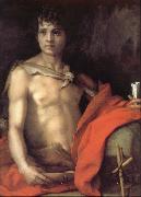 Andrea del Sarto Portrait of younger Joh china oil painting reproduction